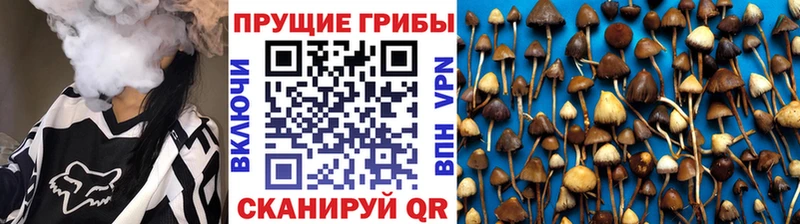 Галлюциногенные грибы Cubensis  ссылка на мегу   Талица 