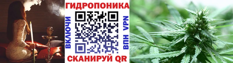 Шишки марихуана OG Kush Талица